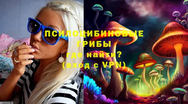 мет Галич