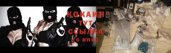 твердый Гатчина