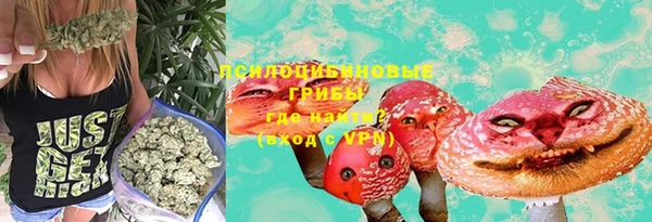spice Пролетарск