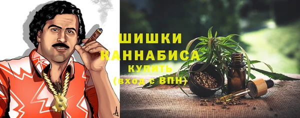гидра Протвино