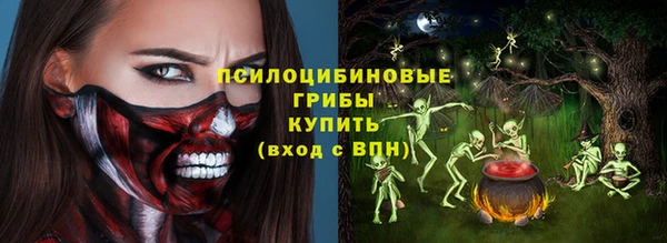 гидра Протвино