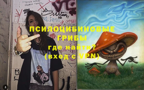 гидра Протвино