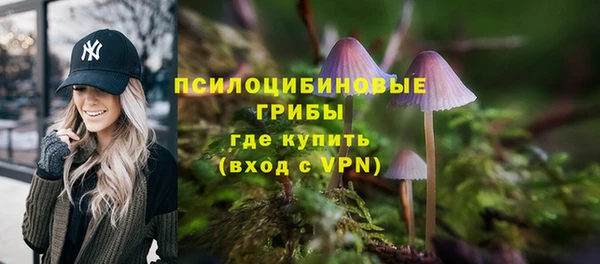 гидра Протвино